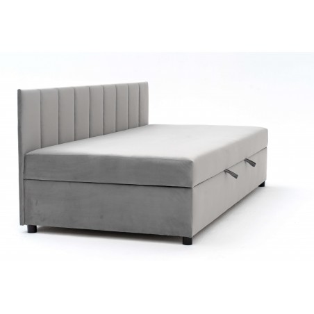 Tapczan FENIKS 120x200 z Pojemnikiem i Oparciem Szary Welur