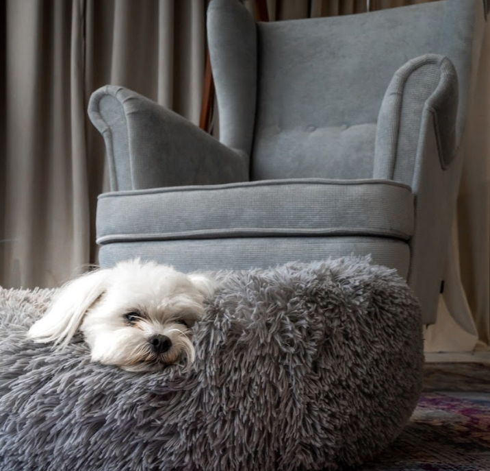 Tkanina pet friendly Domyou