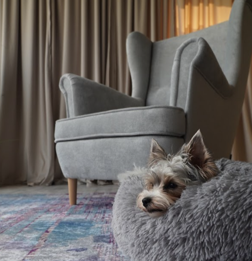 Tkanina premium Domyou