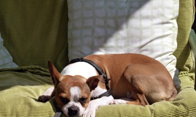 Tapczan czy kanapa sztruksowa? Modny i praktyczny wybór do salonu